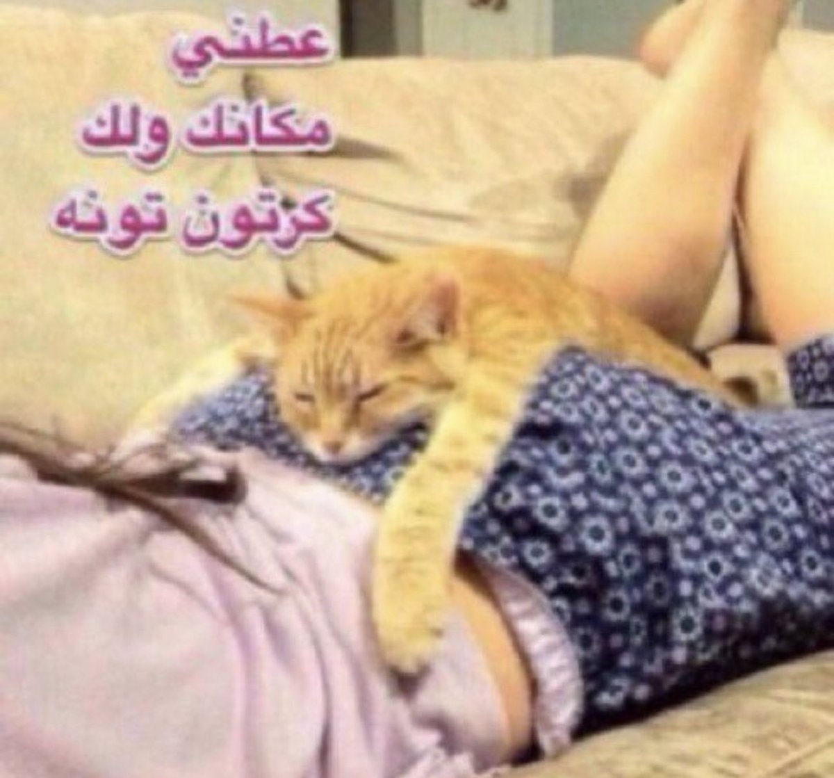 محمد tweet media