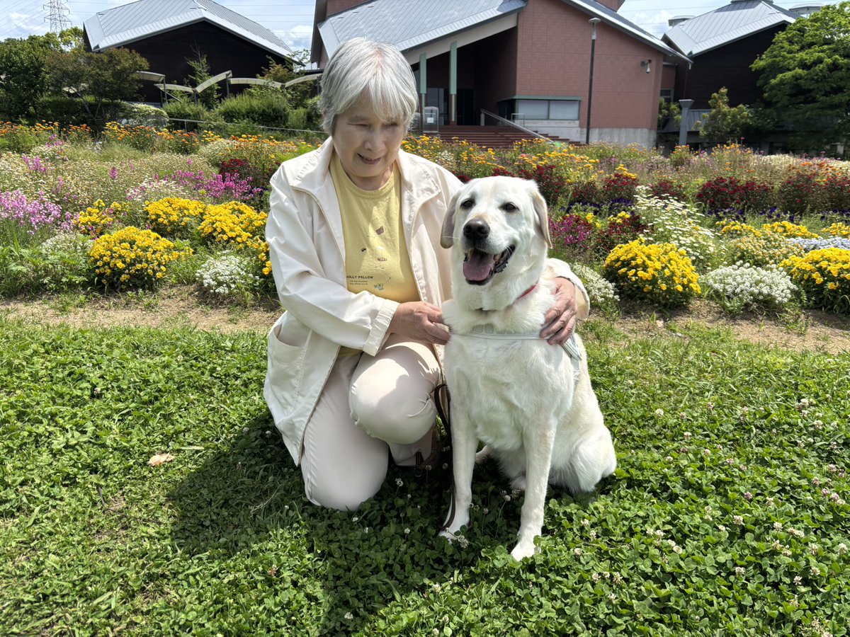 lightguidedog's tweet photo. 4、5月に引退犬を迎えた盲導犬たち

引退の迎え方は地元のボランティアさんやユーザーさんの計らいで引退式をしたり、引退当日にいつも歩き慣れた公園を最後に歩いたり、ご近所さんたちが見送りに来てくれたり、訓練所や地元で引退したり様々です。 https://t.co/Idiottt3hr