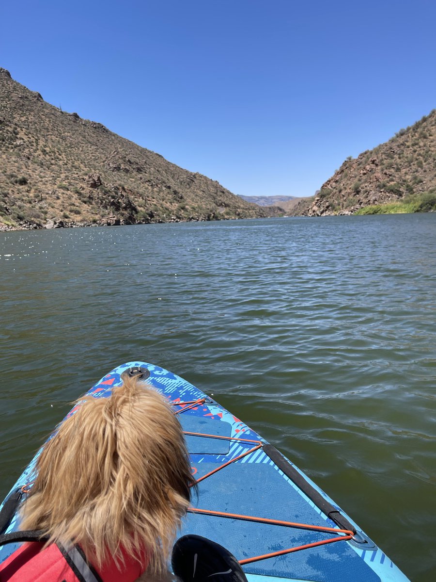 AmyWinchell's tweet photo. @greg16676935420 Paddleboarding at the lake https://t.co/SLa288ahwg