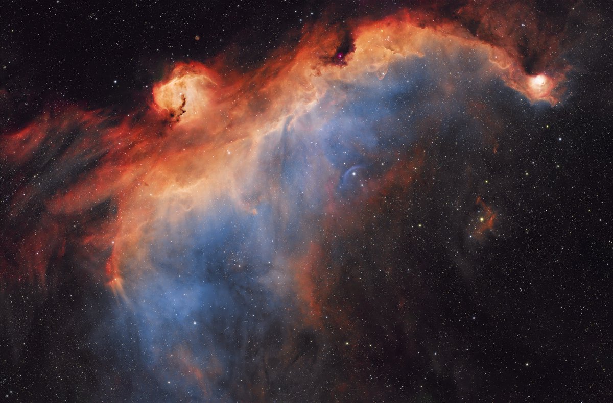 SharpstarOptics's tweet photo. Target: Seagull Nebula in SHO
Telescope: Askar SQA85
Camera: ZWO ASI2600MC AIR
Mount: ZWO AM3
Filters: Antlia ALP-T Dualband 3nm Ha &amp; OIII 2", Antlia ALP-T Dual Band SII &amp; Hb 3.5nm 2"
Exposure time: 14h 40′
Photographer: Tim Henderson https://t.co/hppxHqpsEn