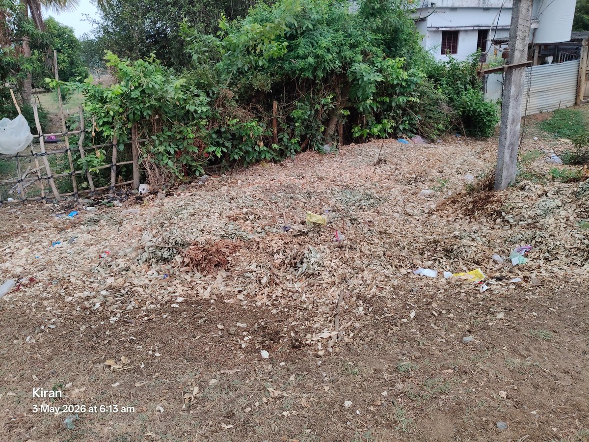 nomulaphy's tweet photo. Urgent: Public health crisis in Mittagudem, Kukunoor Mandal, Eluru Dist. 🚨 3 years of illegal dumping of 'Jam Oil' plant waste near the main road/transformer is blocking drainage and causing severe mosquito breeding.
​Requesting immediate cleanup! https://t.co/fHeYJiuHU3