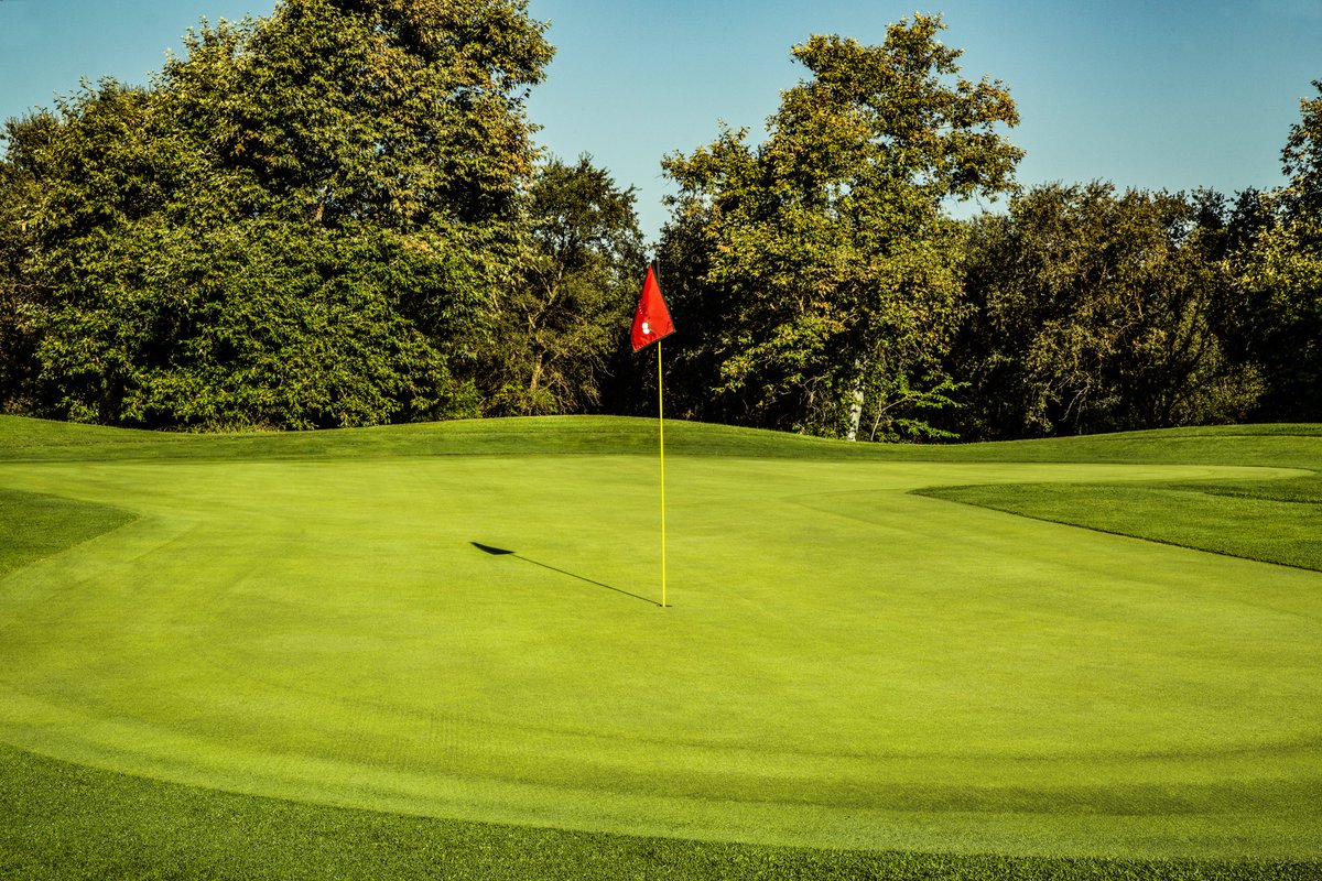 T2GBentgrass's tweet photo. Pure  Select bentgrass
    ✓ Dense, upright growth habit
    ✓ Less thatch, easy to manage
    ✓ Disease, heat, cold &amp; wear tolerant
    ✓ Germinates in elevated salt &amp; high bi-carb water
    ✓ Fast spring green-up
 
    https://t.co/EKMq7JDntg

Cherry Island Golf Course, CA https://t.co/4EJmc8xKIZ