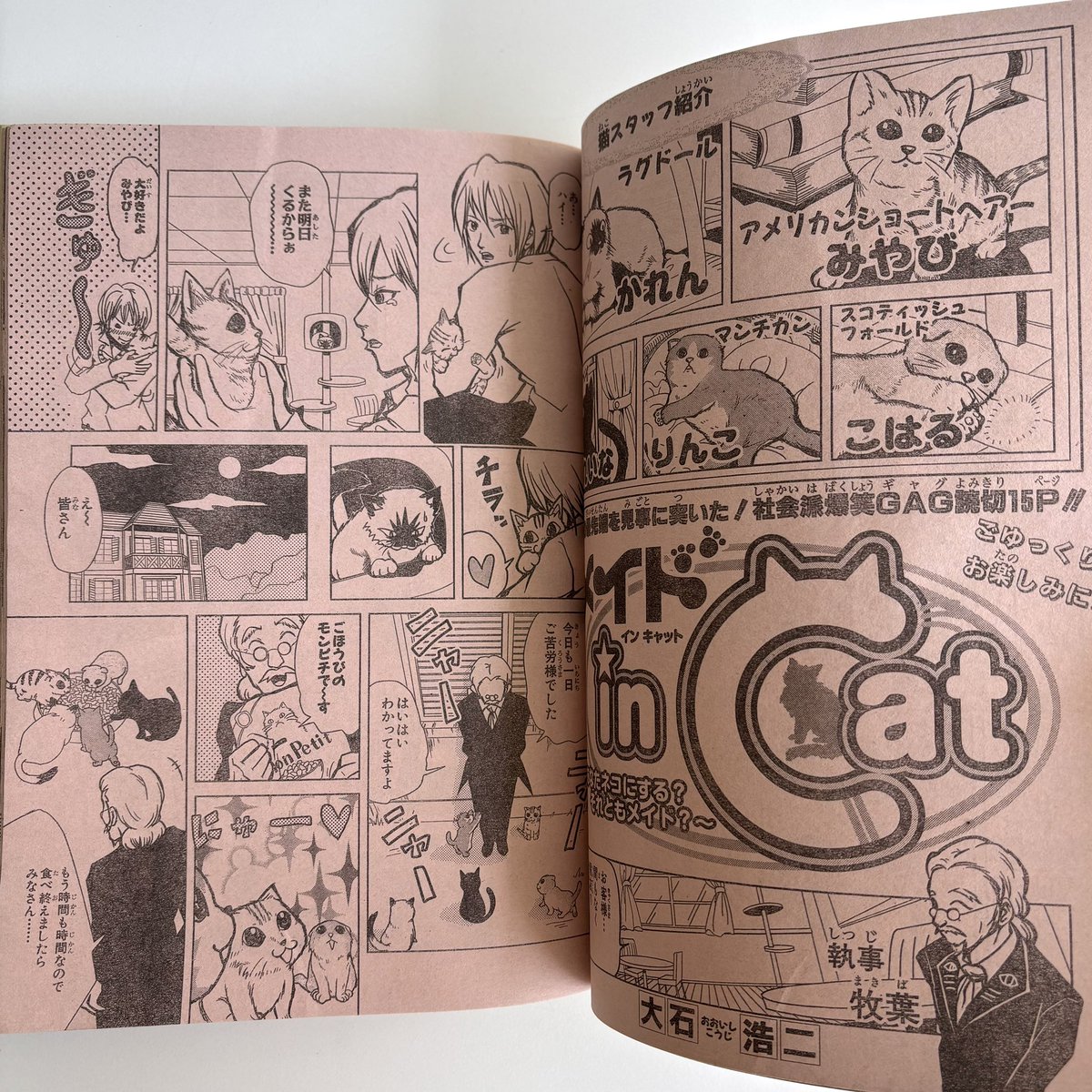 入荷情報】週刊少年ジャンプ 2008年 31号 出品しました！ 『家庭教師