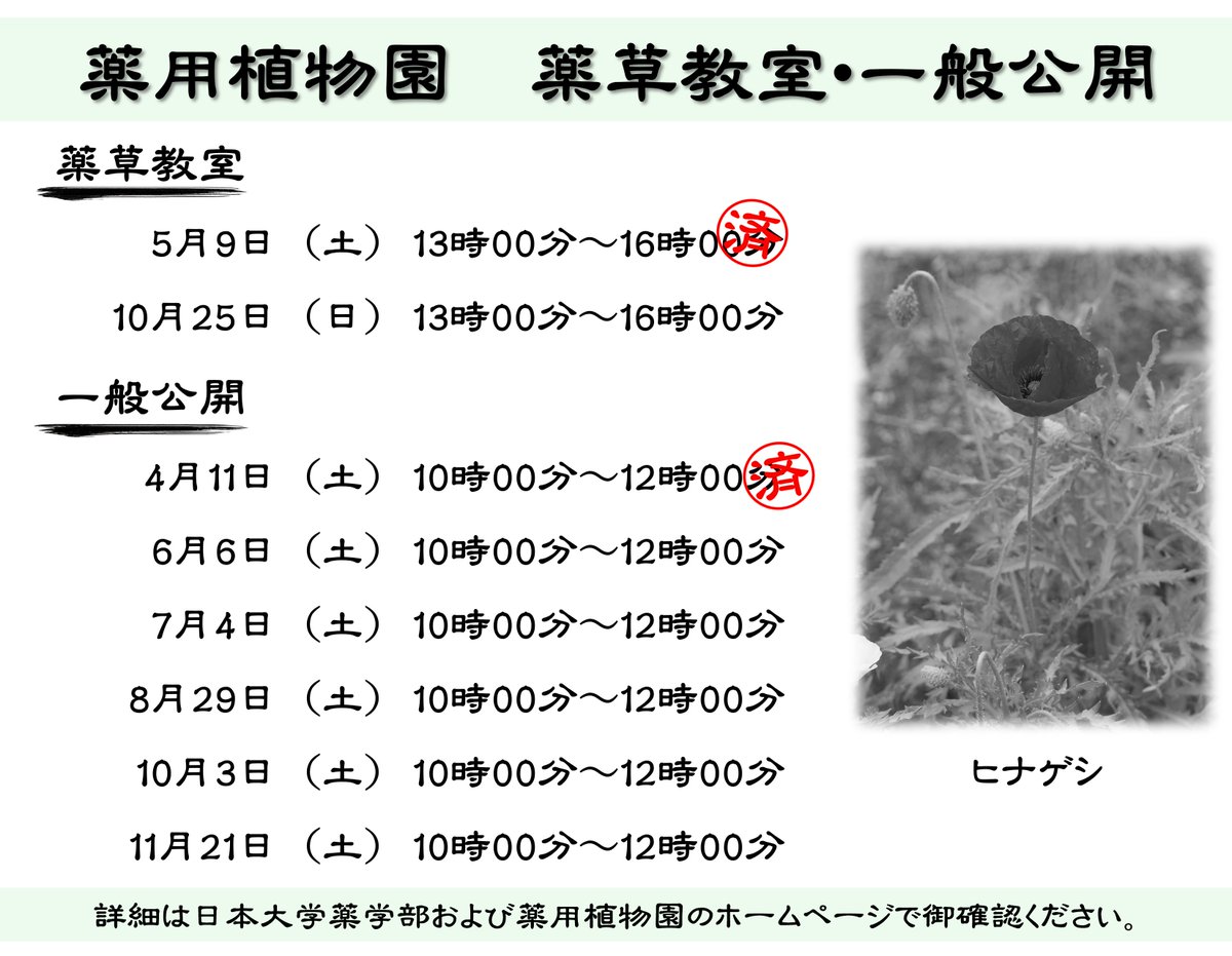 nihonuniv_pha's tweet photo. 薬用植物園内の見頃な花を紹介します（撮影日2026年5月26日）
1枚目　ベニバナ
2枚目　トウキ
3枚目　アリストロキア・トリカウダタ (温室) https://t.co/1lFsrKMhed