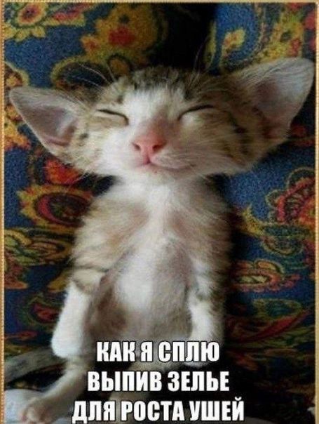 ☆Юна☆ tweet media