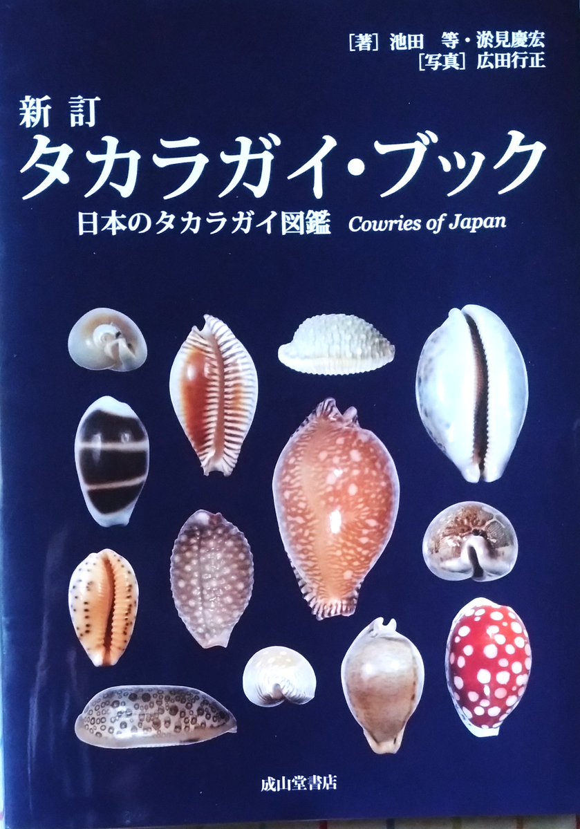 turbjoke's tweet photo. 成山堂書店から発刊されました📚
（日本産タカラガイ89種をはじめ、世界の貝、打ち上げ摩耗の貝、フリークなど　230pp ） https://t.co/gSHbjKbQLB