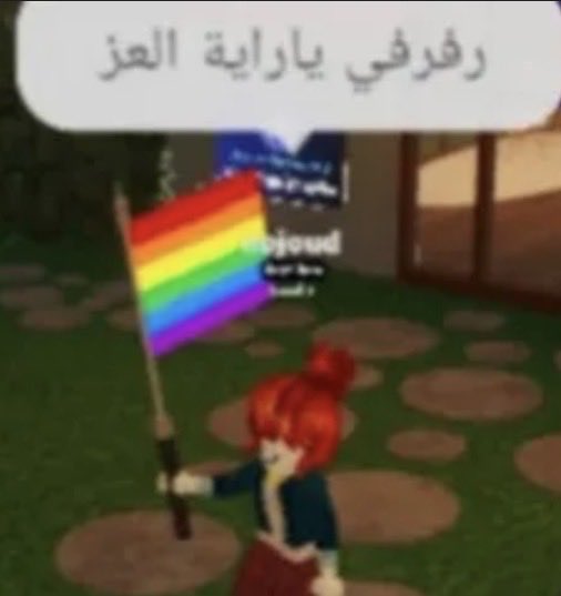haneen tweet media