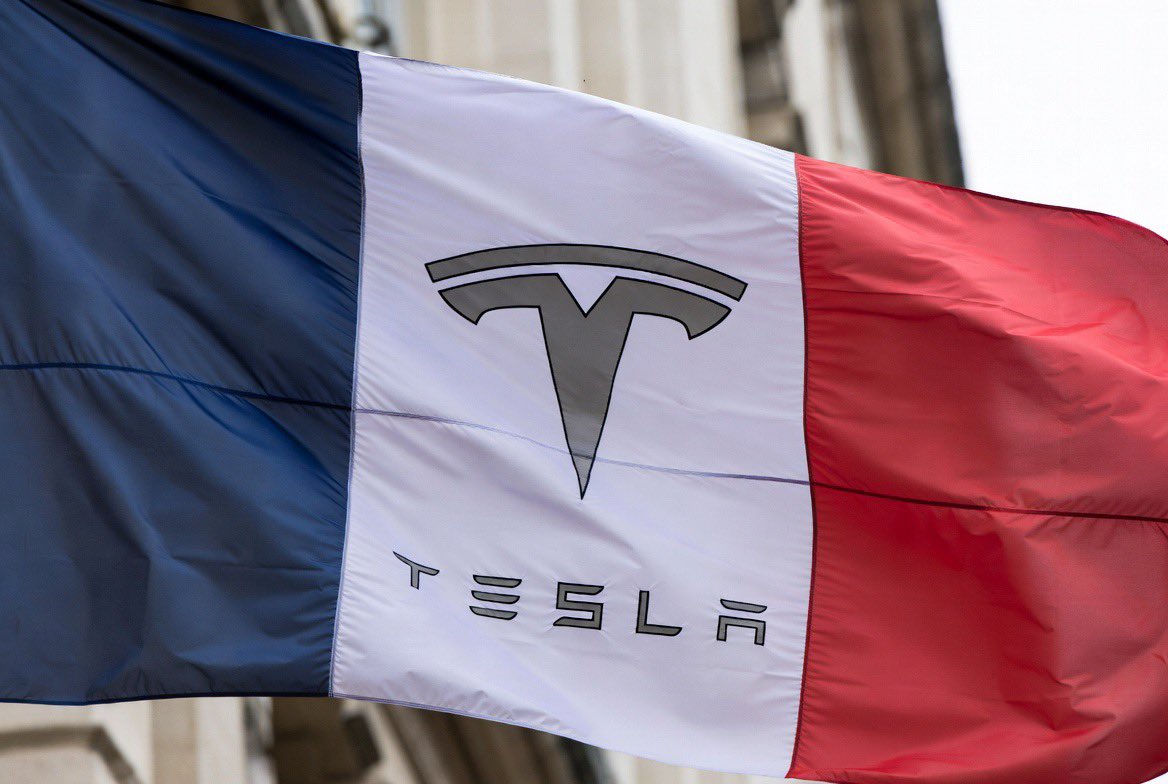 SpringTesla tweet media