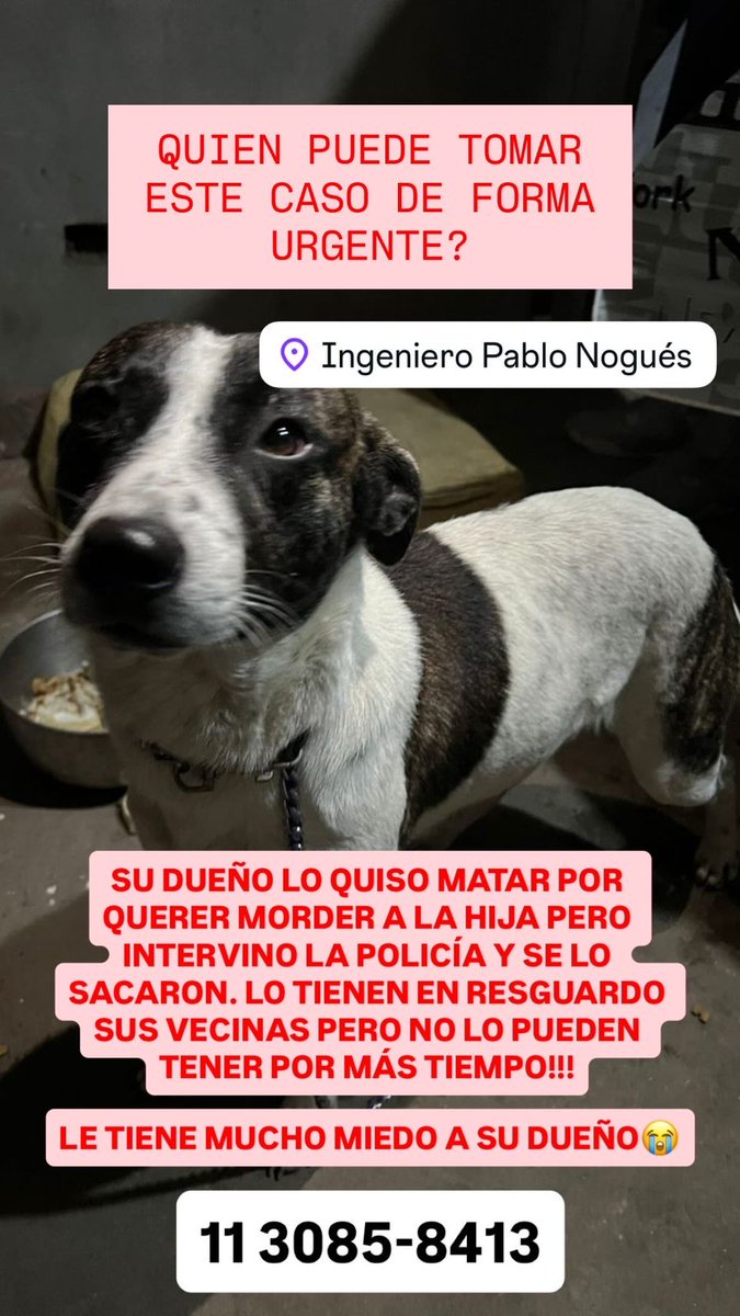 yosiome's tweet photo. Caso urgente, Pablo Nogues.
@lagarzasosa_ 
@elcampito https://t.co/bfhR53YJvz