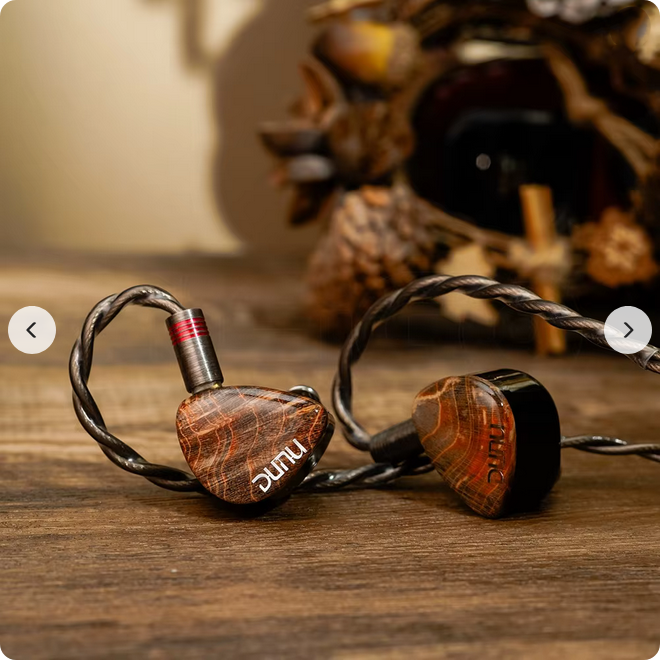 DUNU x Gizaudio DaVinci セール価格 クーポン割引よりも安い特別