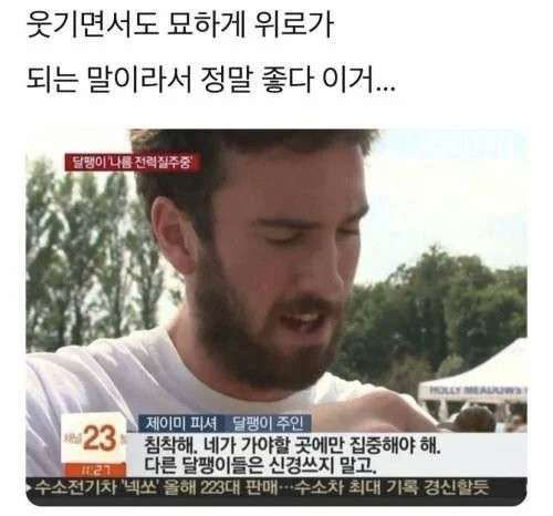 MOAI tweet media