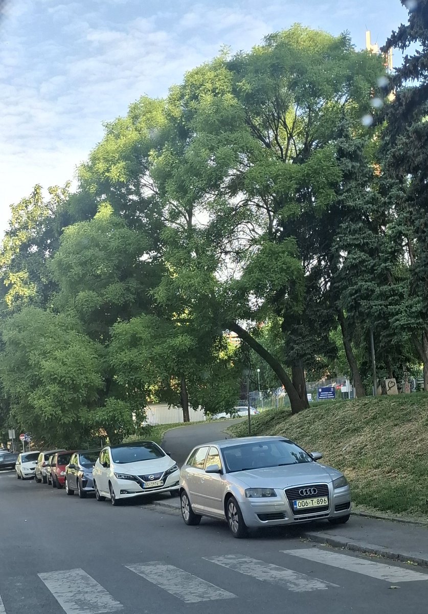 gpavlovic10's tweet photo. @prijavi_problem timocka 22-24 os"sinisa nikolajevic" vozila parkirana na trotoaru https://t.co/KFQTSlhA7h
