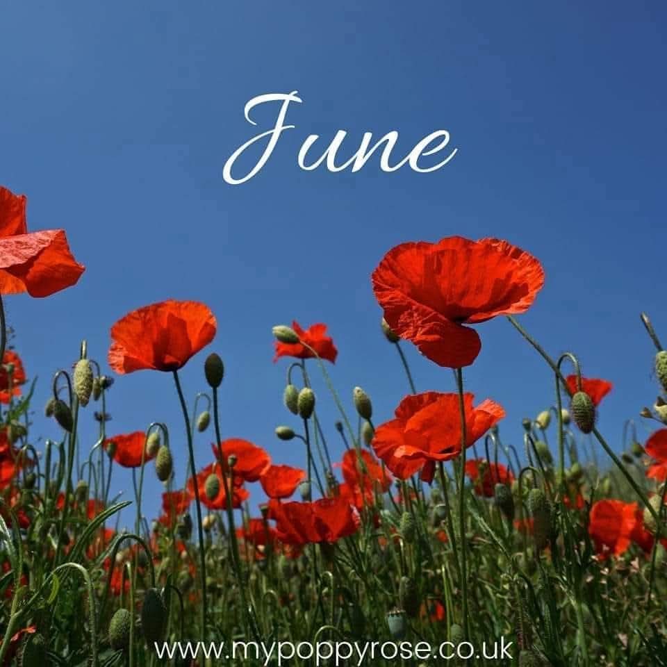 MyPoppyRose's tweet photo. June. A new month but for many of us it can bring painful anniversaries, milestones &amp; heavenly birthdays.

8 years ago this month, we found out we were pregnant with Popp 💕

But life had other plans for our beautiful girl and now she watches over us 💔💖

https://t.co/WgojfRGrC4 https://t.co/akA6tJcLsl