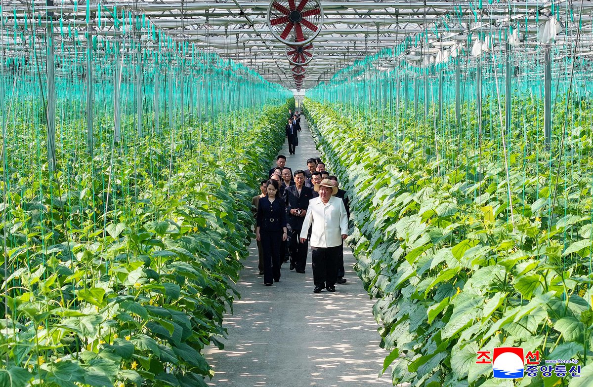 Korea_Friend_UK's tweet photo. Respected Comrade Kim Jong Un Inspects Sinuiju Combined Greenhouse Farm https://t.co/DiPOyWqpCd