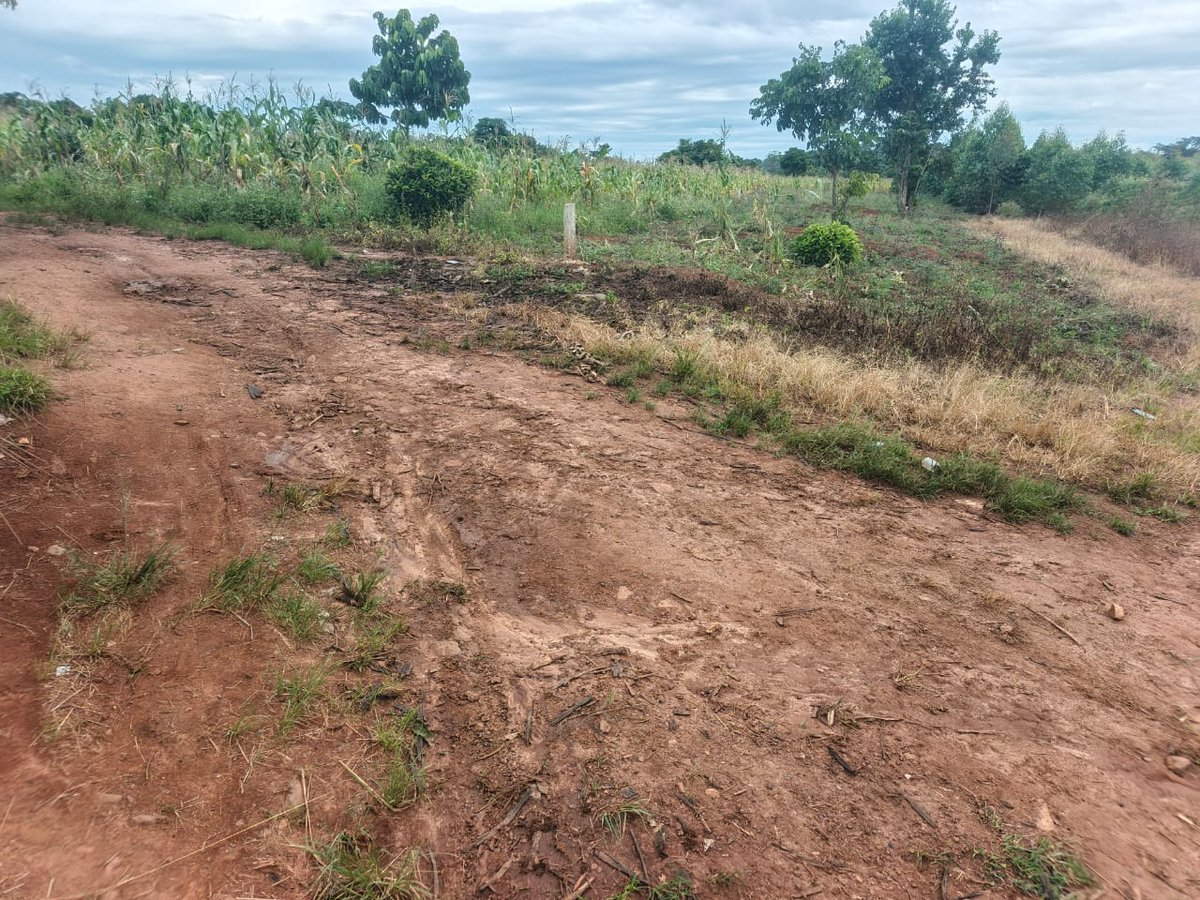 shukranproperty's tweet photo. @IamHaxx @Motion_i256 QUICK SALE TBIS WEEK 

LAKE VIEW LAND 

 ❤️ 2.5 Acres of land 

Located at #Mukono Katosi, Ngombere

Good for many projects like farming, Country home 🏠 etc

Selling at #95m Ugx ( fixed)

Private Mailo ready land title.

0706592177 https://t.co/IboFxK3IdL