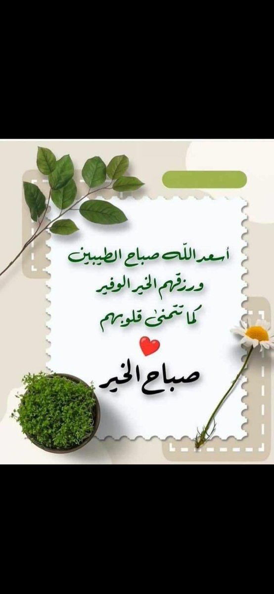 علي ال شهوان tweet media