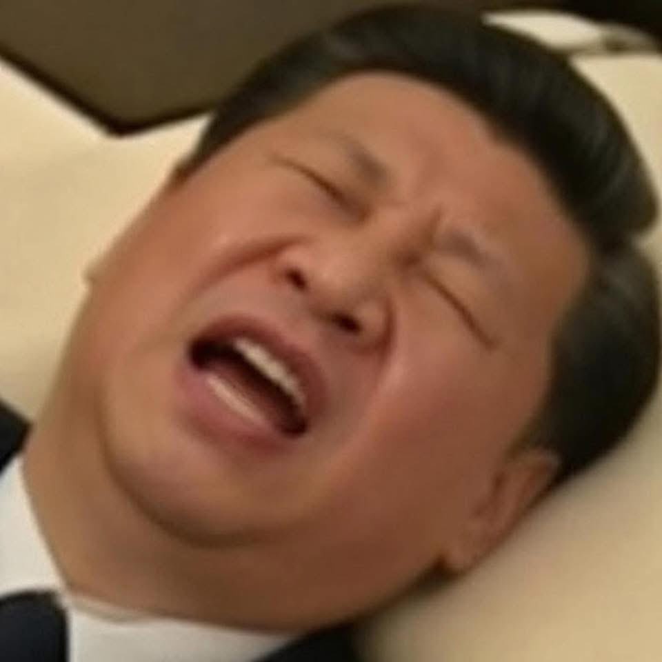 正球级包蜜🇮🇱🇺🇸 tweet media