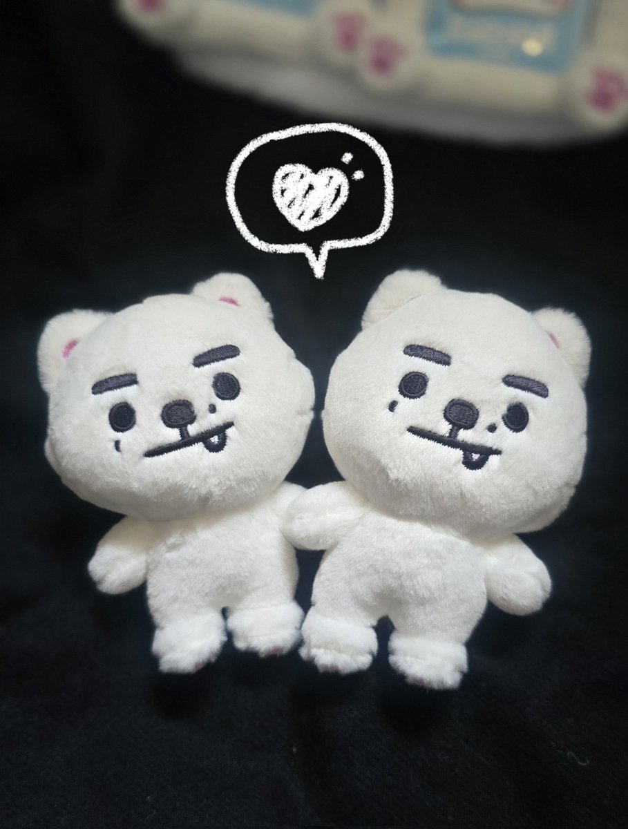 memyysh's tweet photo. 来た.｡•♥︎ かわいい. .｡.:*･♡♡
SnoWe ふたご...というか 個体差結構あるかも。今日届いた方が大きいㅋㅋㅋ
ケースはそこまででもないかなぁ…
残りはJPで届くはずㅋㅋ 

#ENCHIN #성훈  #SUNGHOON https://t.co/viZK0xhNiD