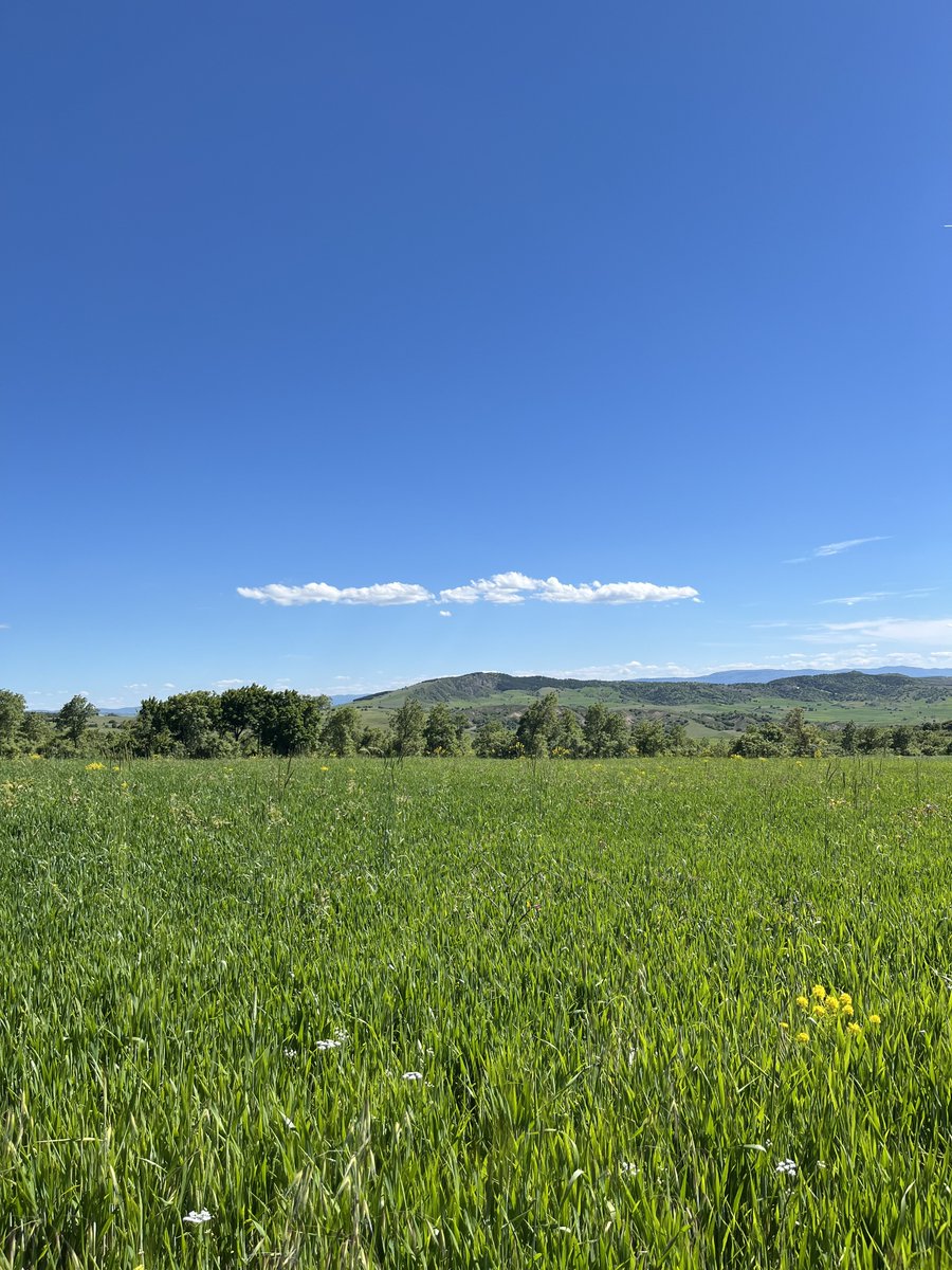 terimistis's tweet photo. abi köyümüz ya 🌿💚 https://t.co/juAgVGTBp6