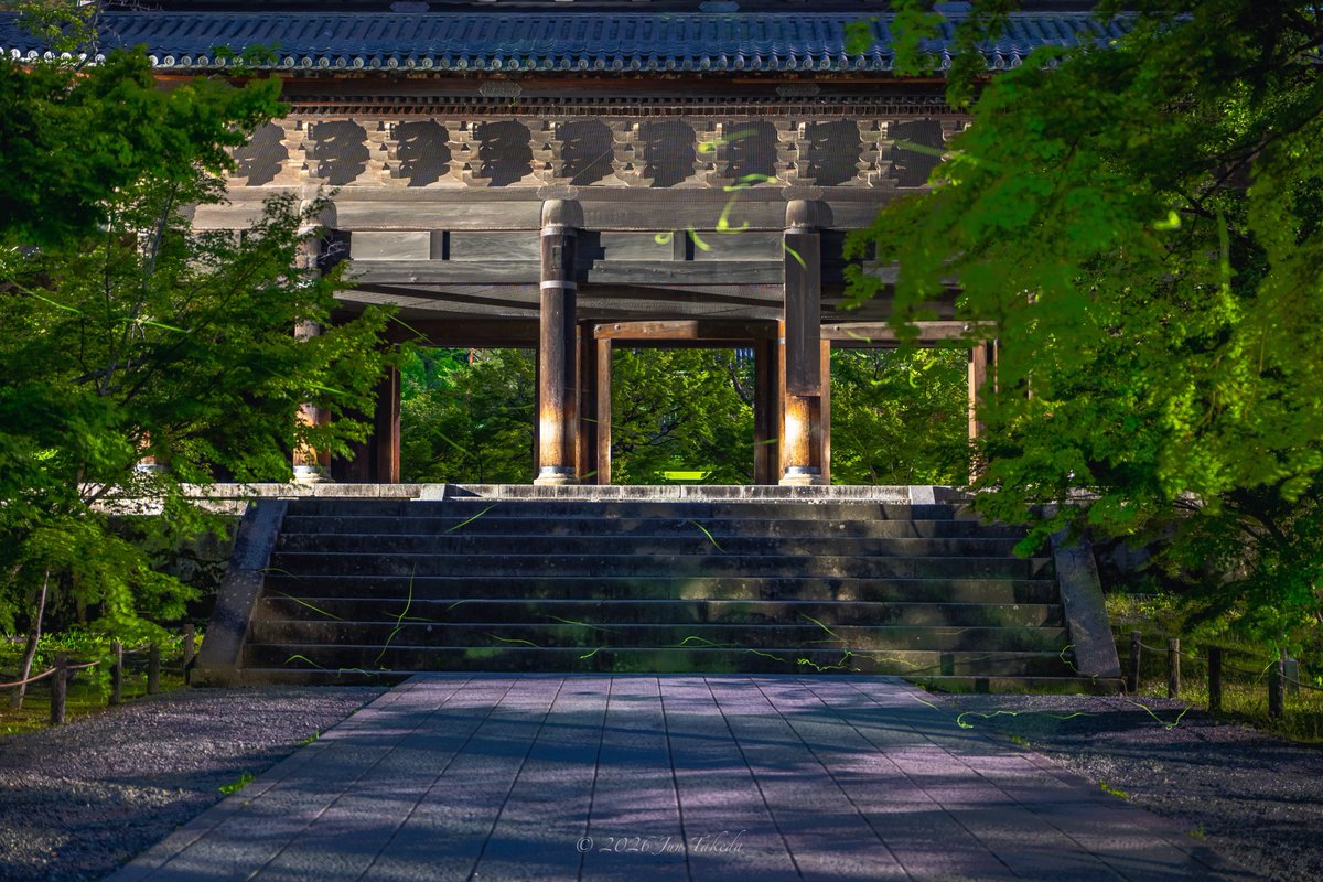 man_tac's tweet photo. 京都南禅寺さんのホタル✨🤗
2026.5.31撮影

#京都よきかな 
Leica SL3-S x SIGMA 28-105mm F2.8 DG DN | Art https://t.co/cKdHDfuw0r