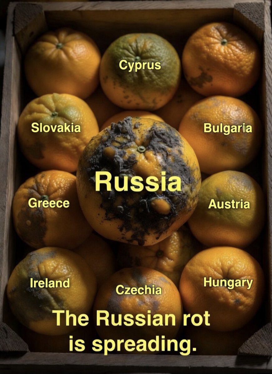 UAVoyager🇺🇦 tweet media