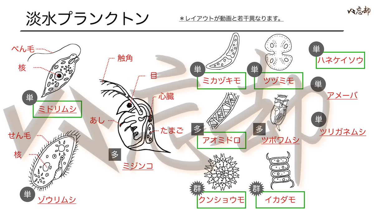 vsbo_anki's tweet photo. <天体⑥>星座１ から１問

図の星座の名前は何ですか。

<選択肢>
①ふたご座
②おうし座
③こと座
④おとめ座

▼▼解答・解説動画▼
明日の投稿でチェック！

▼更なる挑戦はこちら▼
https://t.co/0jcsy9JsLZ

解説画像は昨日の問題だよ！😊
#中学受験　#暗記　#理科 https://t.co/amsCAk0c37