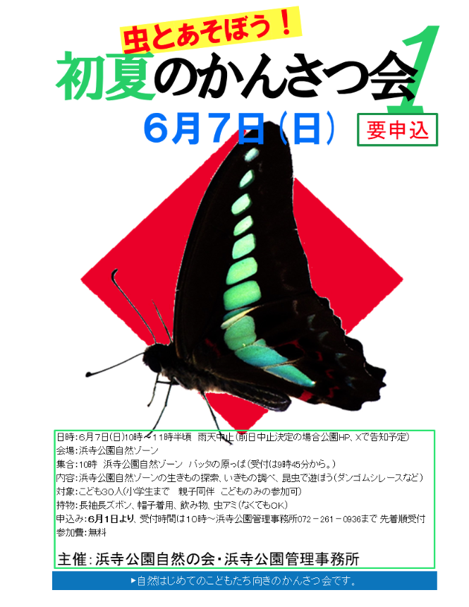 hamadera_park's tweet photo. 【イベントお知らせ】
☀初夏のかんさつ会１☀
初夏にいるのはどんな虫？虫さん好きなお子さま、集まれ！

日時：6/7(日)10時～11時半頃
場所：浜寺公園自然ゾーンバッタの原っぱ
申込：浜寺公園管理事務所☎072-261-0936（6/1午前10時受付開始）
対象：小学生まで30人（こどものみ参加可）
雨天中止 https://t.co/yktmggF2Qw