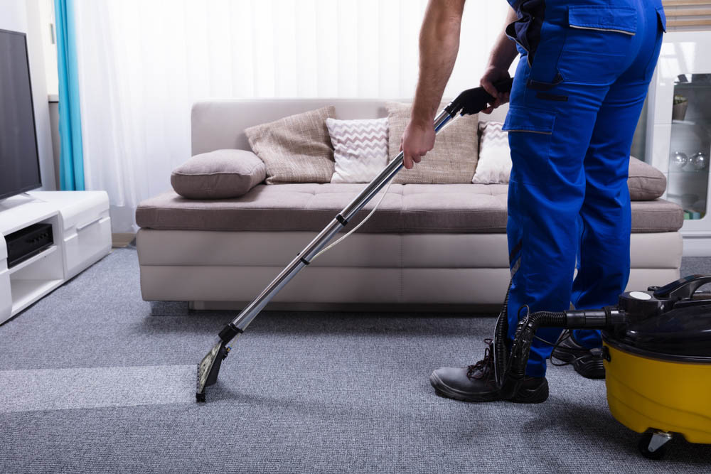 AmazingCarpetC2's tweet photo. ๐ Fresh Carpets Make a Big Difference!
Visit our website https://t.co/dAtL8zlux5
#CarpetCleaningCompany #ProfessionalCarpetCleaners #CarpetRestoration #DeepClean #CleanLiving #AmazingCarpetCleaning #LocalCleaningService #BestCarpetCleaning https://t.co/qMXnIrFTV4