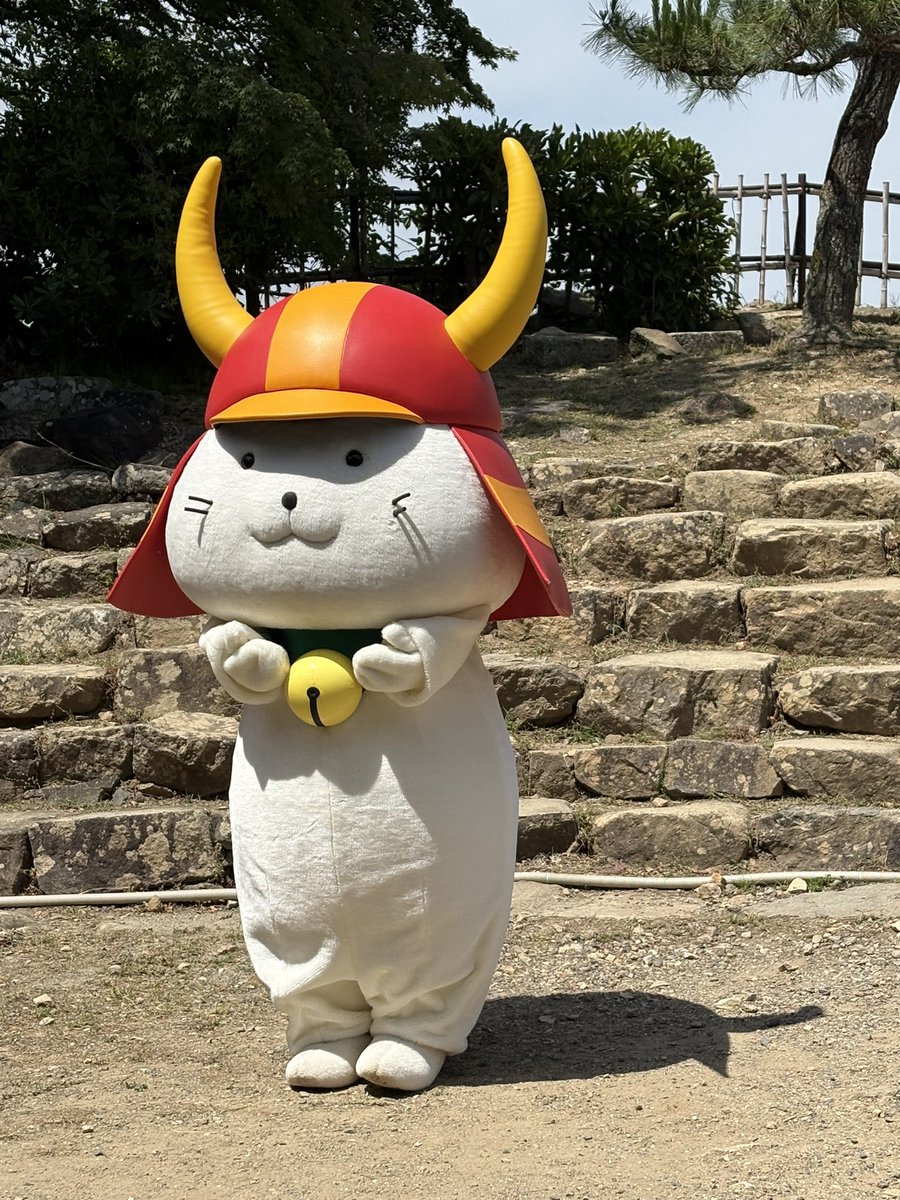 こんにちは🏯 ひこにゃんに会ってきました あまりに暑い🥵ので 登場