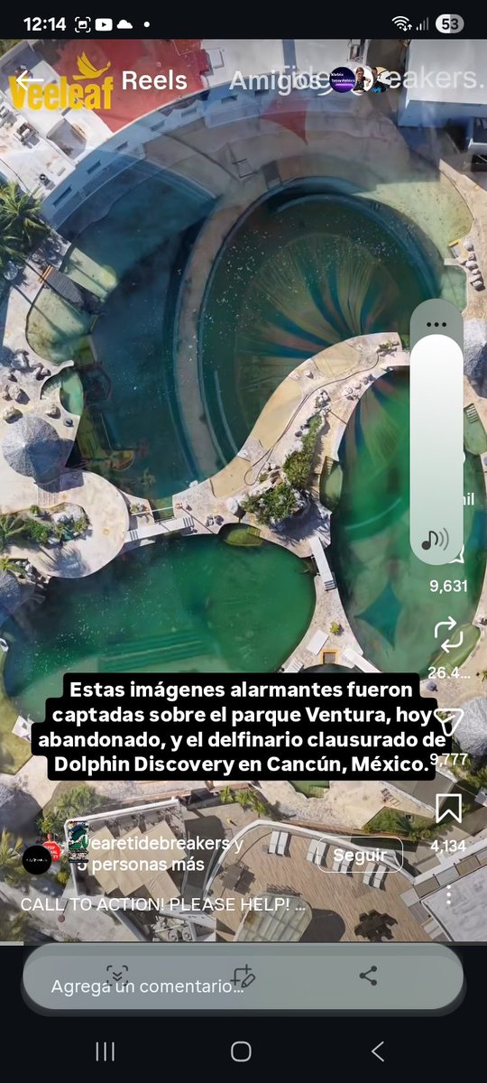 LillyVWR's tweet photo. Dejen de mamar hjs de pta! Como pueden permitir esto? 10 meses en el abandono estos delfines? Que horror de país y de autoridades @GobCDMX @GobQuintanaRoo @PROFEPA_Mx  @wearetidebreakers Aventura y Dolphin discovery! Karma! https://t.co/g0dKnWZlJk