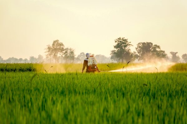 IFPRISAO's tweet photo. #NowReading: How might the #Gulf #conflict reshape #food #systems far beyond the region? 🌍🌾
This article explores the implications for #fertilizer #supply #chains, #agricultural #resilience, and food security in India.
🔗Read more:
https://t.co/UbL1XCUjaF https://t.co/ex0uSxabyq