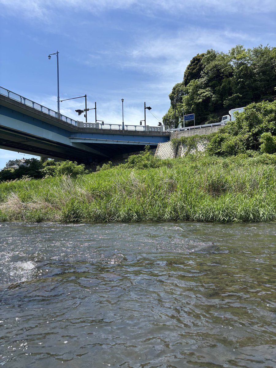 iwashiy_'s tweet photo. 祝！鮎解禁日です！
今年も友釣り、ちょっと鮎ルアーで行きたいと思います！ https://t.co/texsvNtQDt