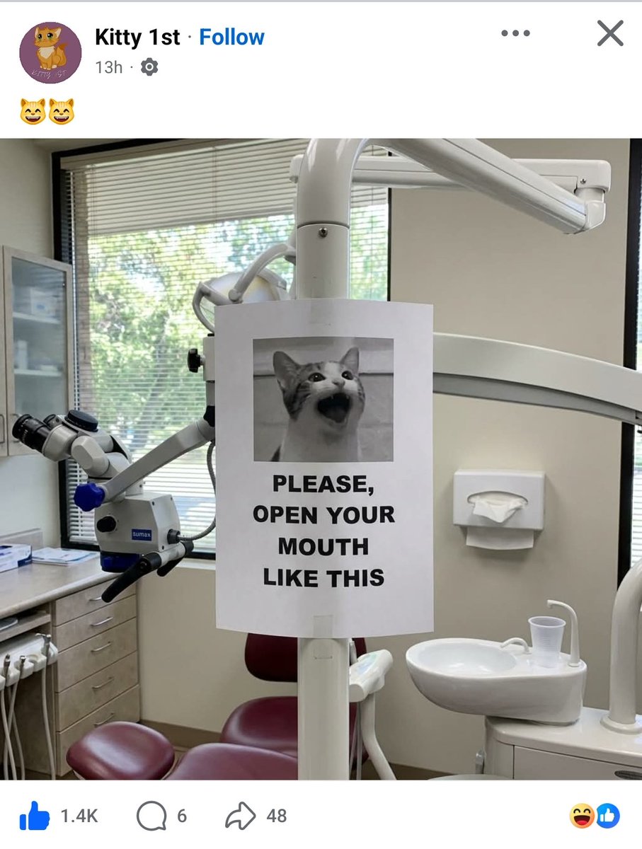 Angry_Avocato🥑🐧 tweet media