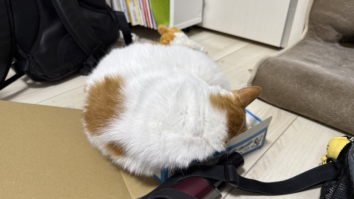 AlRoy2017's tweet photo. どうやっても入らないと思う…

#伊藤製作所 https://t.co/5QCVnKXsOh