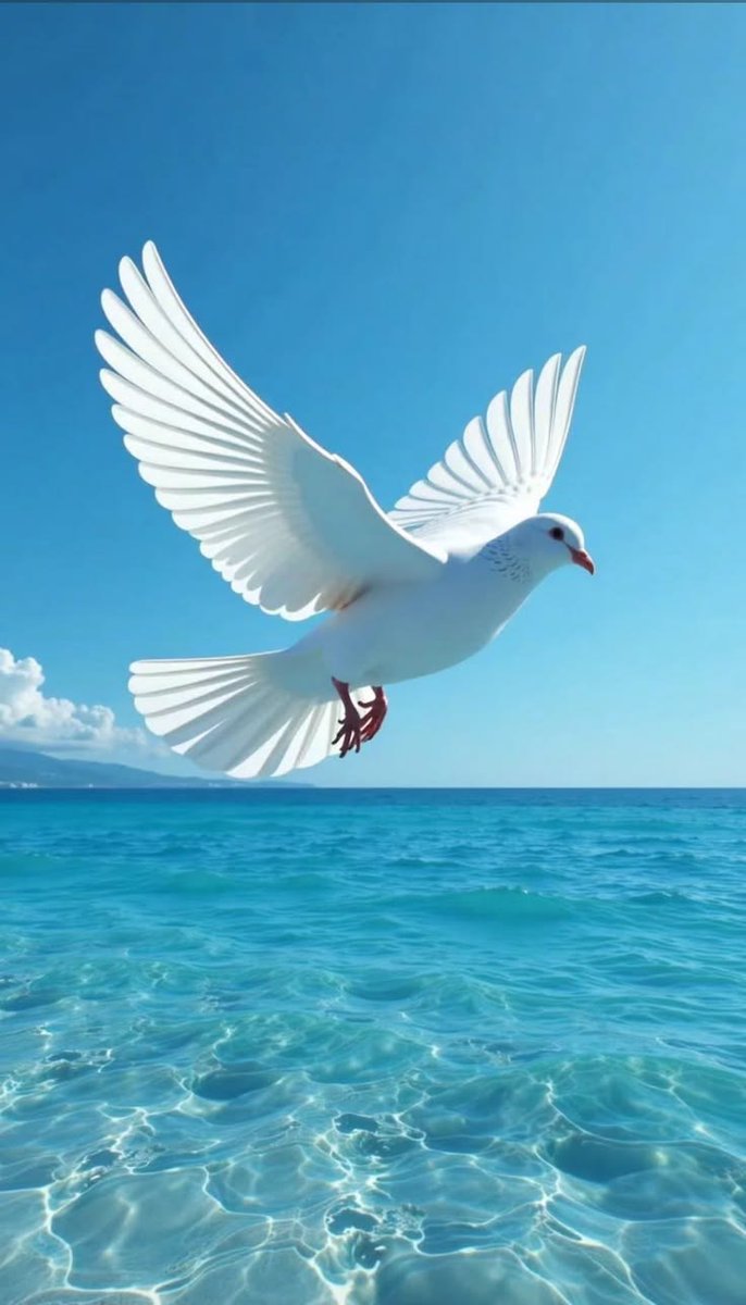 aigiotissa. tweet media