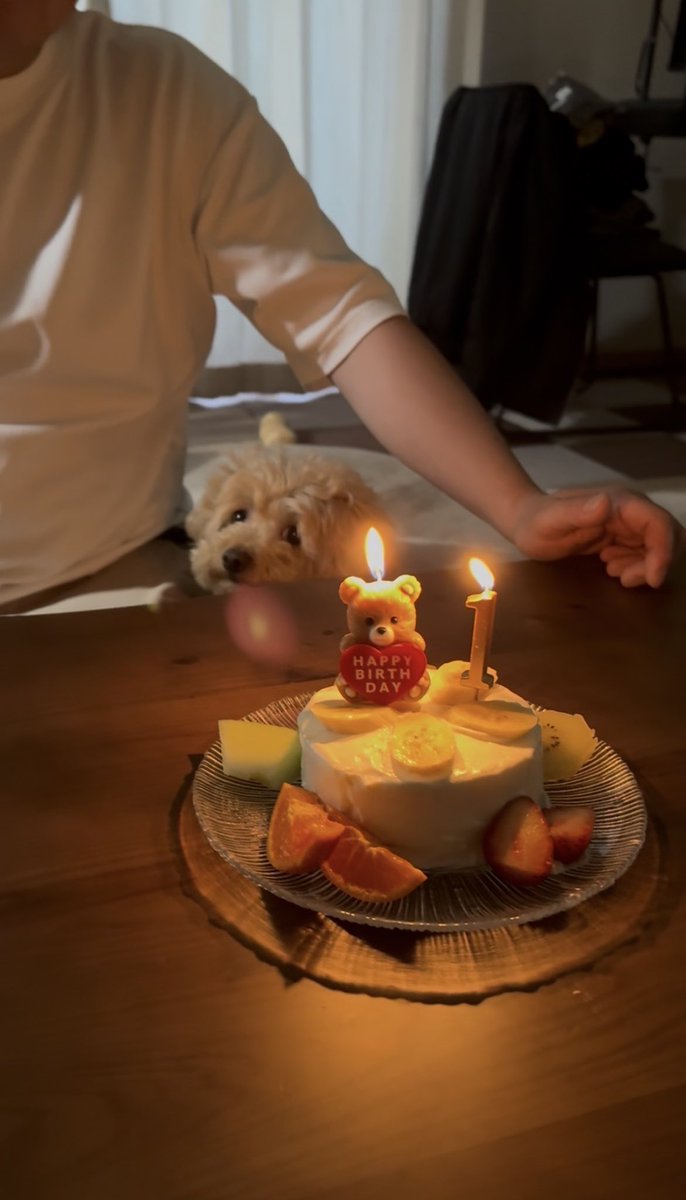 84Pepper's tweet photo. ㊗️娘1歳🥳🎉
スマッシュケーキなるものを作ってワイルドに喰らっていただいた🎂

そしてわしもまた歳をとりました👴
みんな健やかであれ https://t.co/aPNpq5CZjS