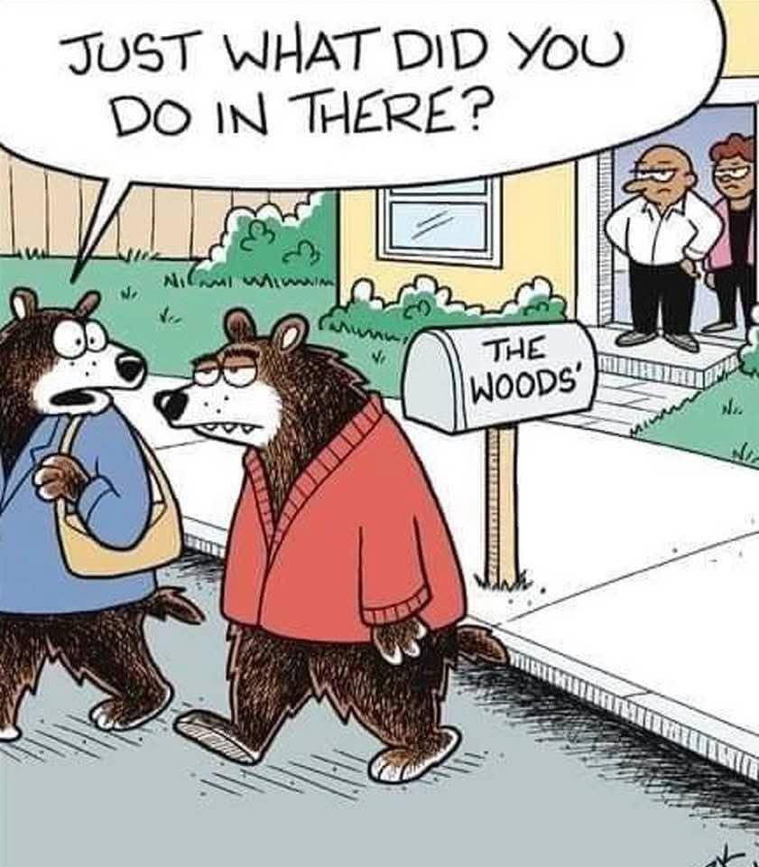 Georgemummysboy's tweet photo. 🤣😂, 🐻 https://t.co/u6PMueW98M