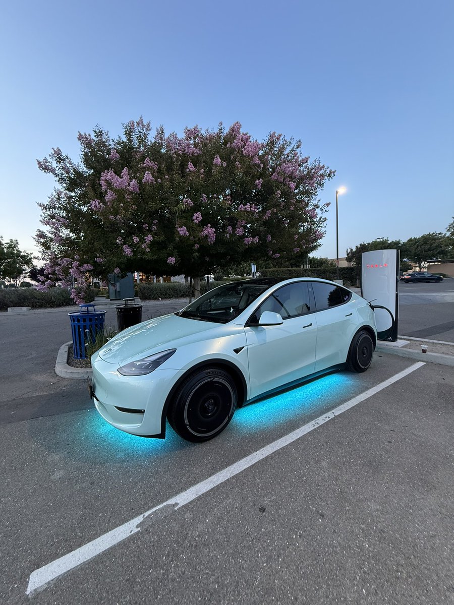 TeslaAiGirl tweet media