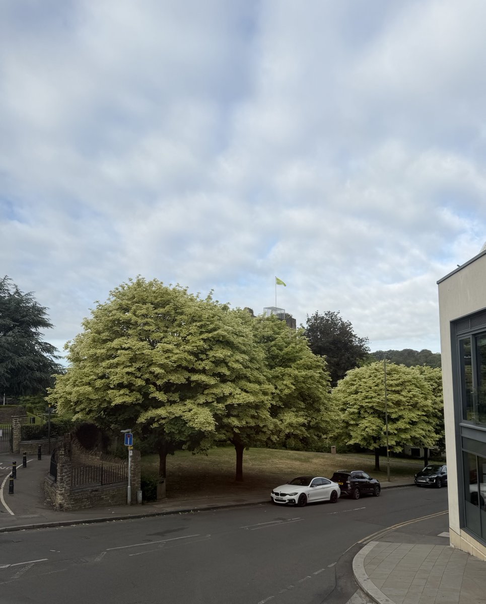 onlinefinancial's tweet photo. Good morning #Guildford and welcome to the start of #June2026 🥰 https://t.co/o2FrytRfl6