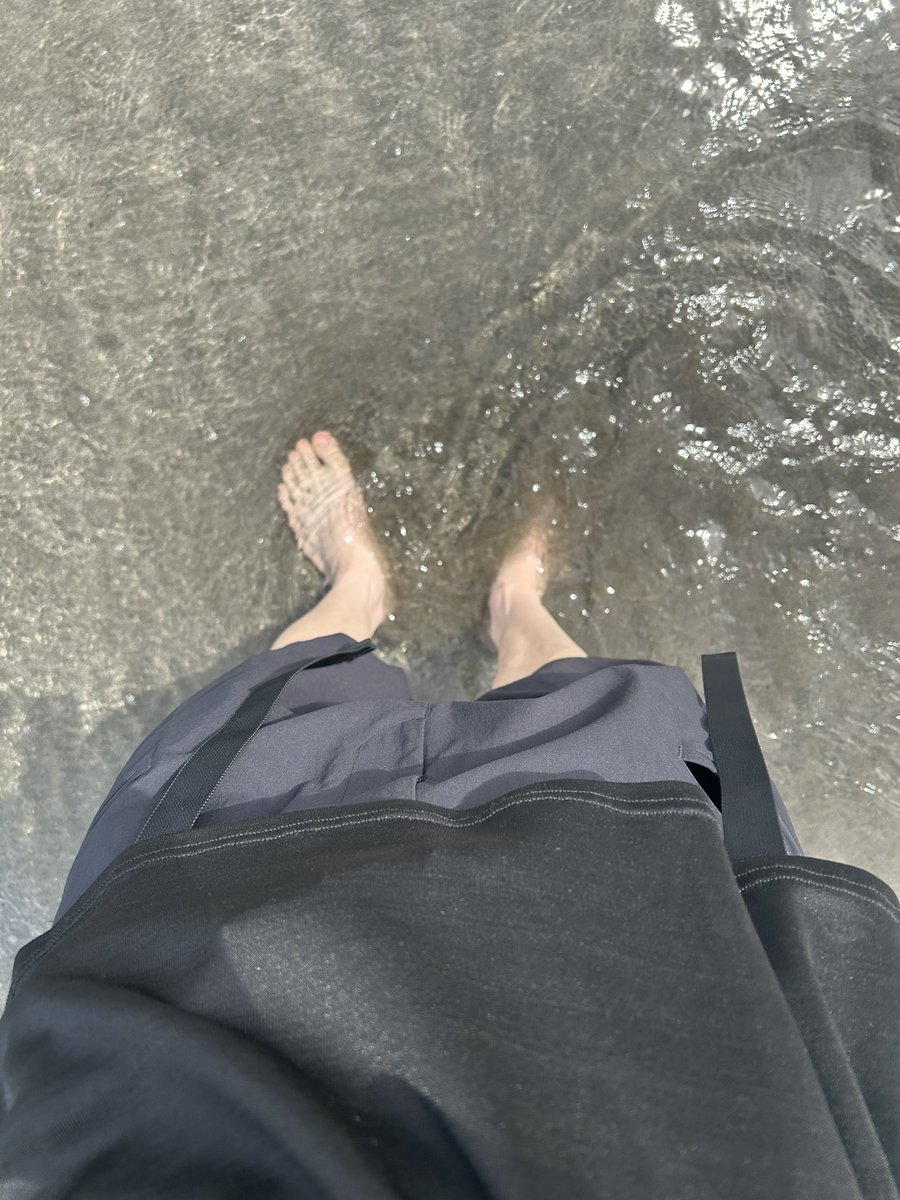 ash443k's tweet photo. It was first sea in this year.
#acronym https://t.co/YxwDnn01N1