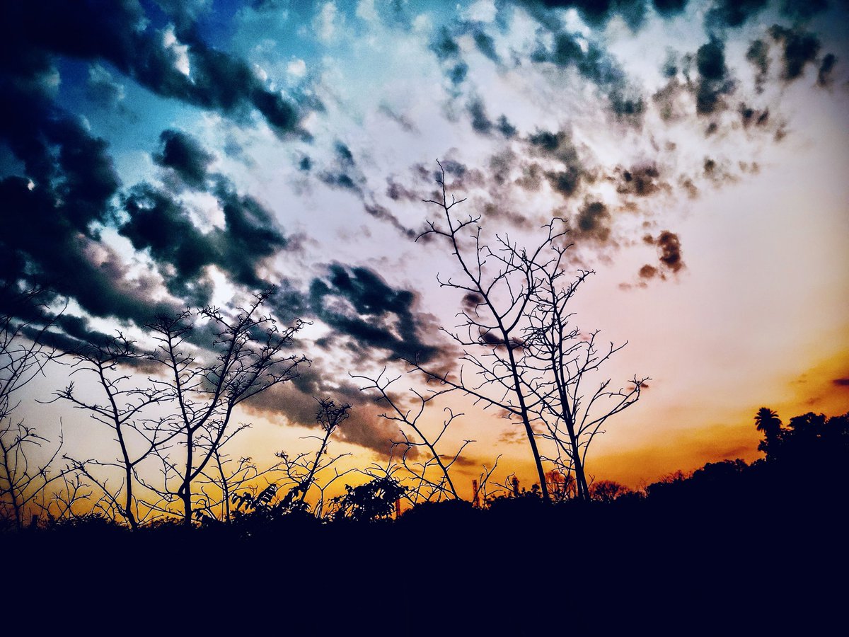 DJGabruu's tweet photo. @aestheticsguyy https://t.co/mgV1PqT9Aq