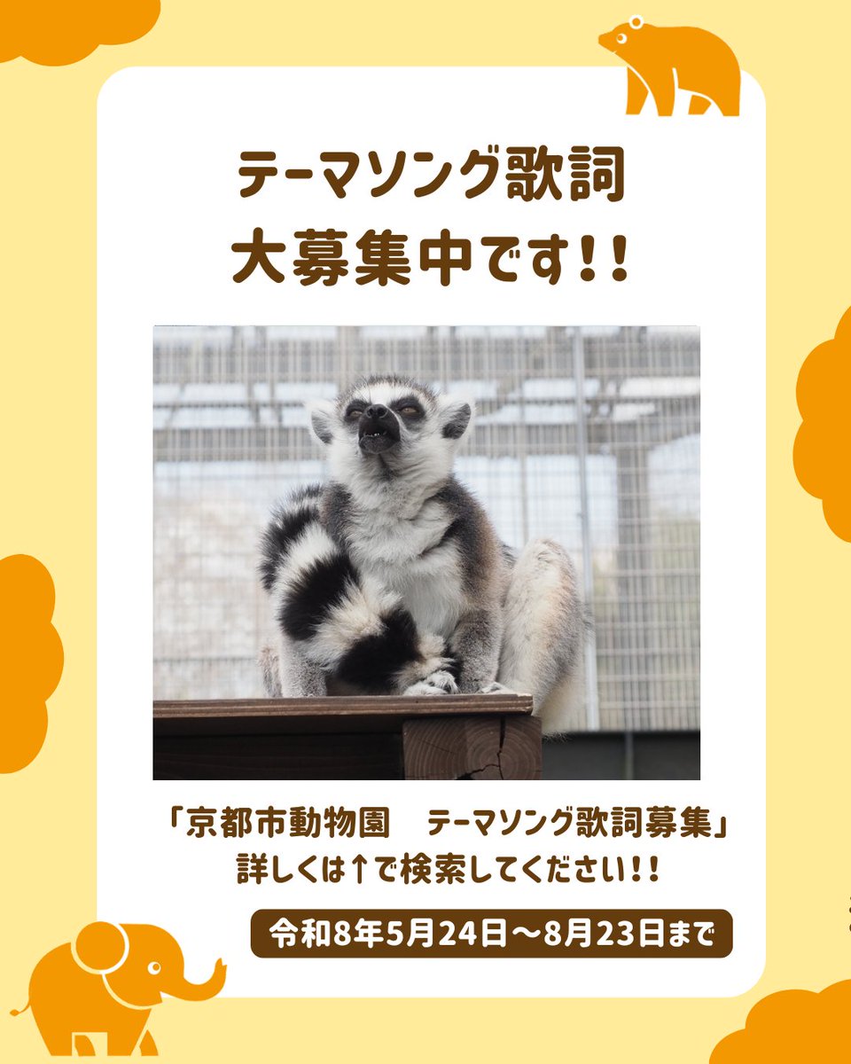 kyotoshidoubut1's tweet photo. ゾウ舎北側の庇の下にコシアカツバメの巣があります。初めて確認したのは2023年なので、すでに3年経過していますが、入口が少し崩れているだけで、丈夫なつくりだと感心します。

#京都市動物園 #kyotocityzoo #ゾウ舎 #北側 #巣 #コシアカツバメ #ElephantHouse #Northside #Nest #RedrumpedSwallow https://t.co/nzjtAhMklr