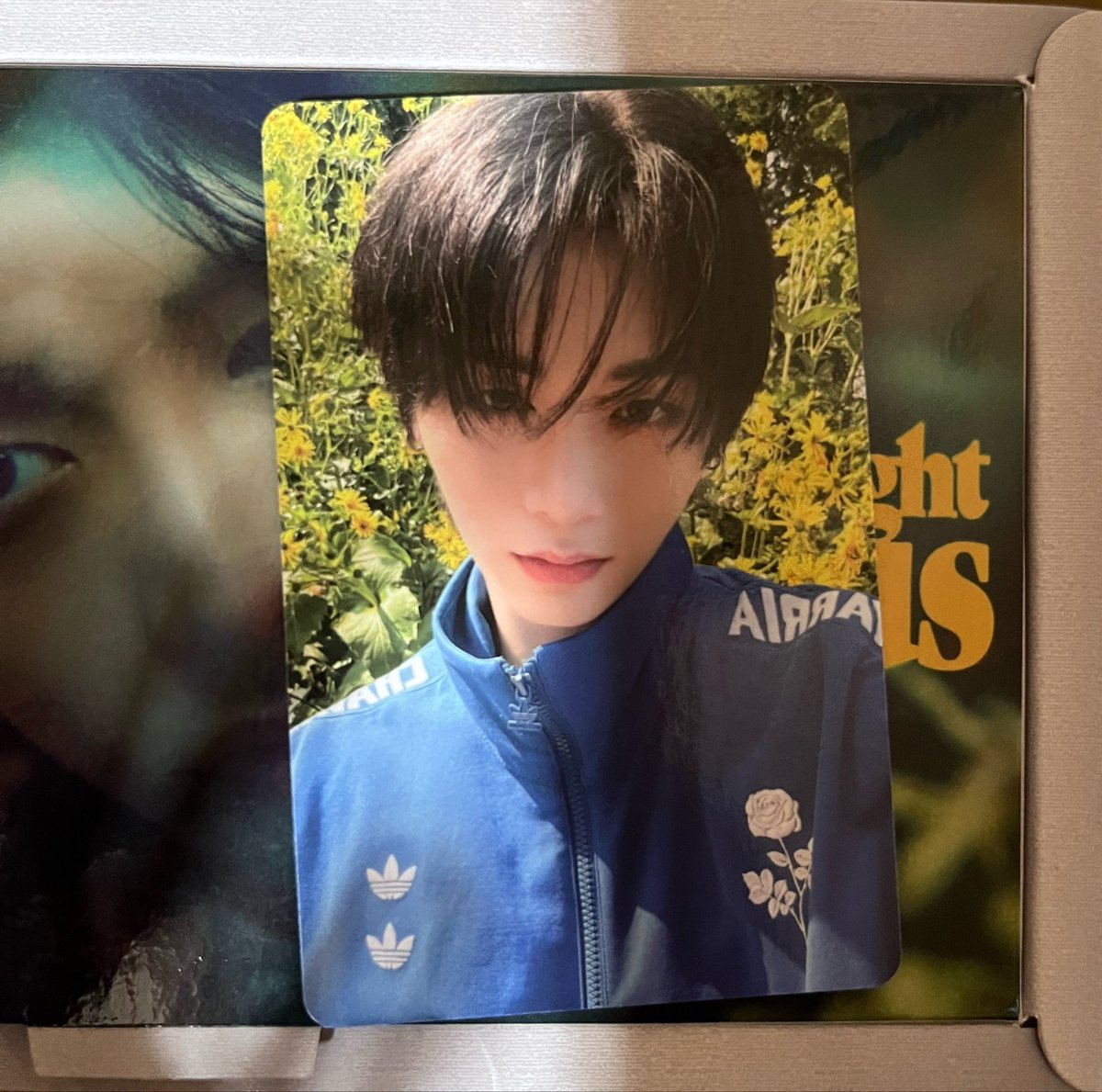 eenieminimine's tweet photo. WTS (price exclude postage)

taesan pc frame ver rm8
beomgyu panic pc rm10
leo come closer pc rm 8
-buy all rm25 

dm to buy, please help me clear this 🥹
#pasarboynextdoor #pasartxt #pasarbnd @pasarbnd @pasar_txt https://t.co/Vwxz7DAznn