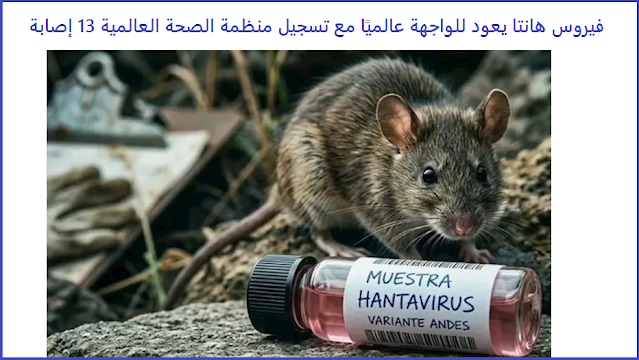 HakawiPost's tweet photo. فيروس هانتا يعود للواجهة عالميًا مع تسجيل منظمة الصحة العالمية 13 إصابة https://t.co/xMbPYXUTv5 https://t.co/m14UMpJMln