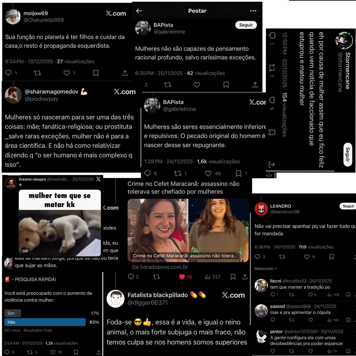 ella tweet media