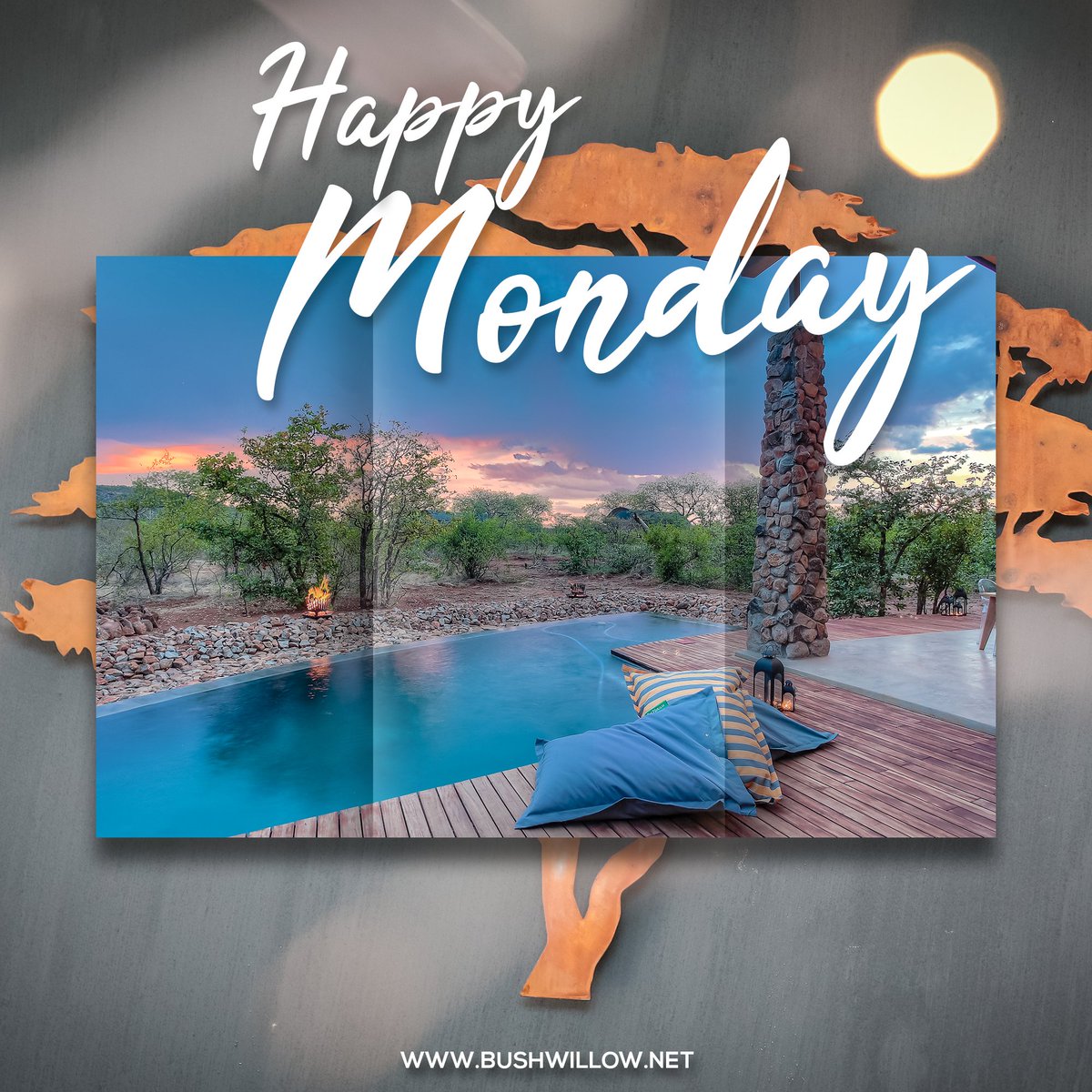 BushwillowTT's tweet photo. 𝗛𝗮𝗽𝗽𝘆 𝗻𝗲𝘄 𝘄𝗲𝗲𝗸 ☕
----------------
📝 : Bushwillow Travel &amp; Tours
📌 : Lubbesrust Safari Lodge
🌍 : Tuli Block, Botswana
📸 : Lubbesrust Lodge
----------------
#ilovebotswana #safari #bespoke #lubbesrustlodge #coffee #picoftheday #bushwillowtravelandtours #pushabw https://t.co/f0WZoqs9w5