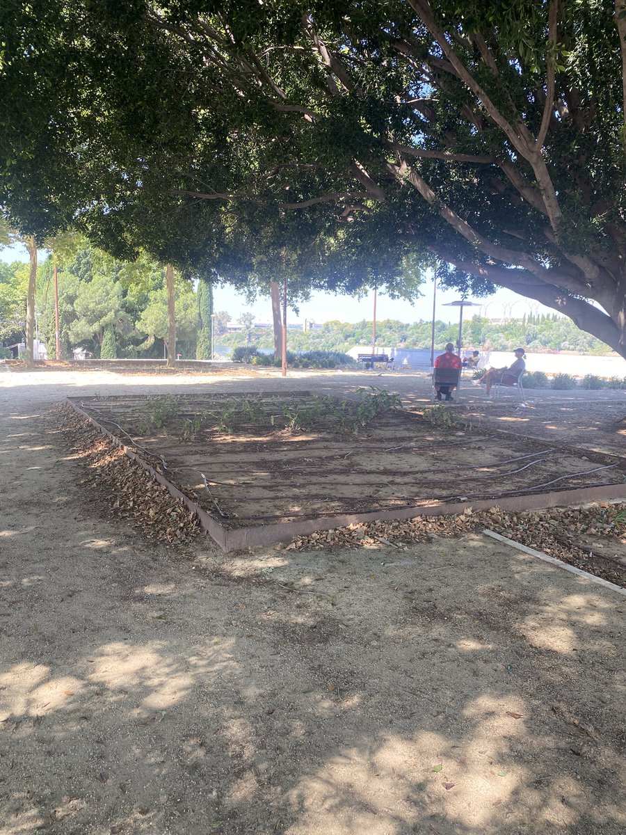 jeswonehouse's tweet photo. Por qué fracasan bastantes proyectos de jardinería del @Ayto_Sevilla? Mal diseño (ej. mala elección de especies), visión a corto plazo, falta de visión funcional, mantenimiento deficiente… En definitiva: malgastar dinero público y oportunidades de mejorar nuestra ciudad. https://t.co/diBw8Xvlm3