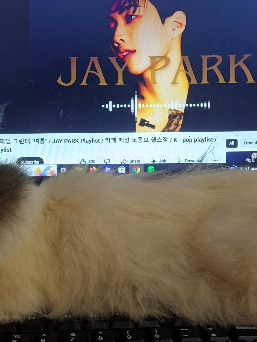 Max tweet media