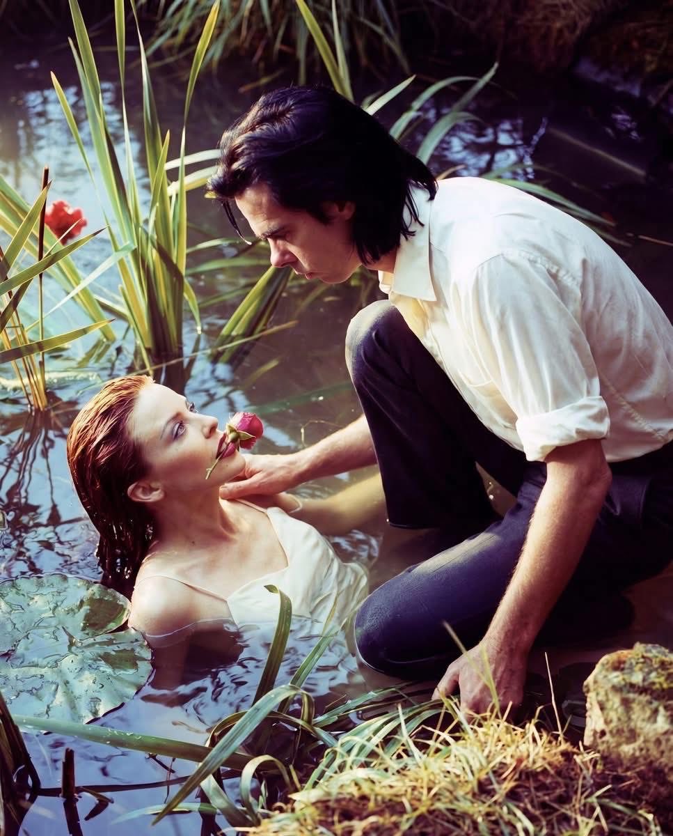 emmanu_elle_'s tweet photo. Where the Wild Roses Grow https://t.co/3zHuZ2F0I9