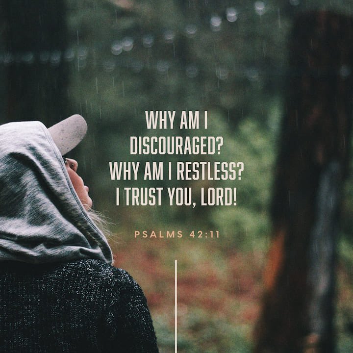 samuelbennett03's tweet photo. “Why, my soul, are you downcast? Why so disturbed within me? Put your hope in God, for I will yet praise him, my Savior and my God.”
Psalms 42:11 NIV
https://t.co/F6GhwfsGPN https://t.co/gknNVCsy8F